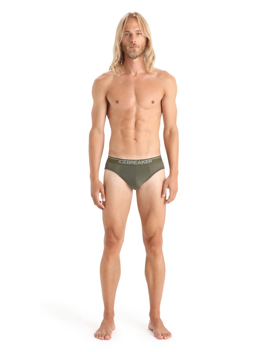 Loden Icebreaker Merino Anatomica Briefs Men's Underwear | AU 1297LISH